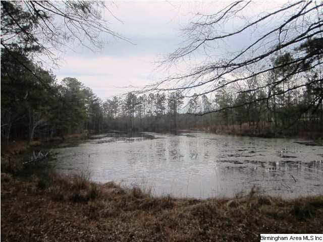48 Highway, Unit 36 Lineville, AL 36266 - Photo 6 of 7