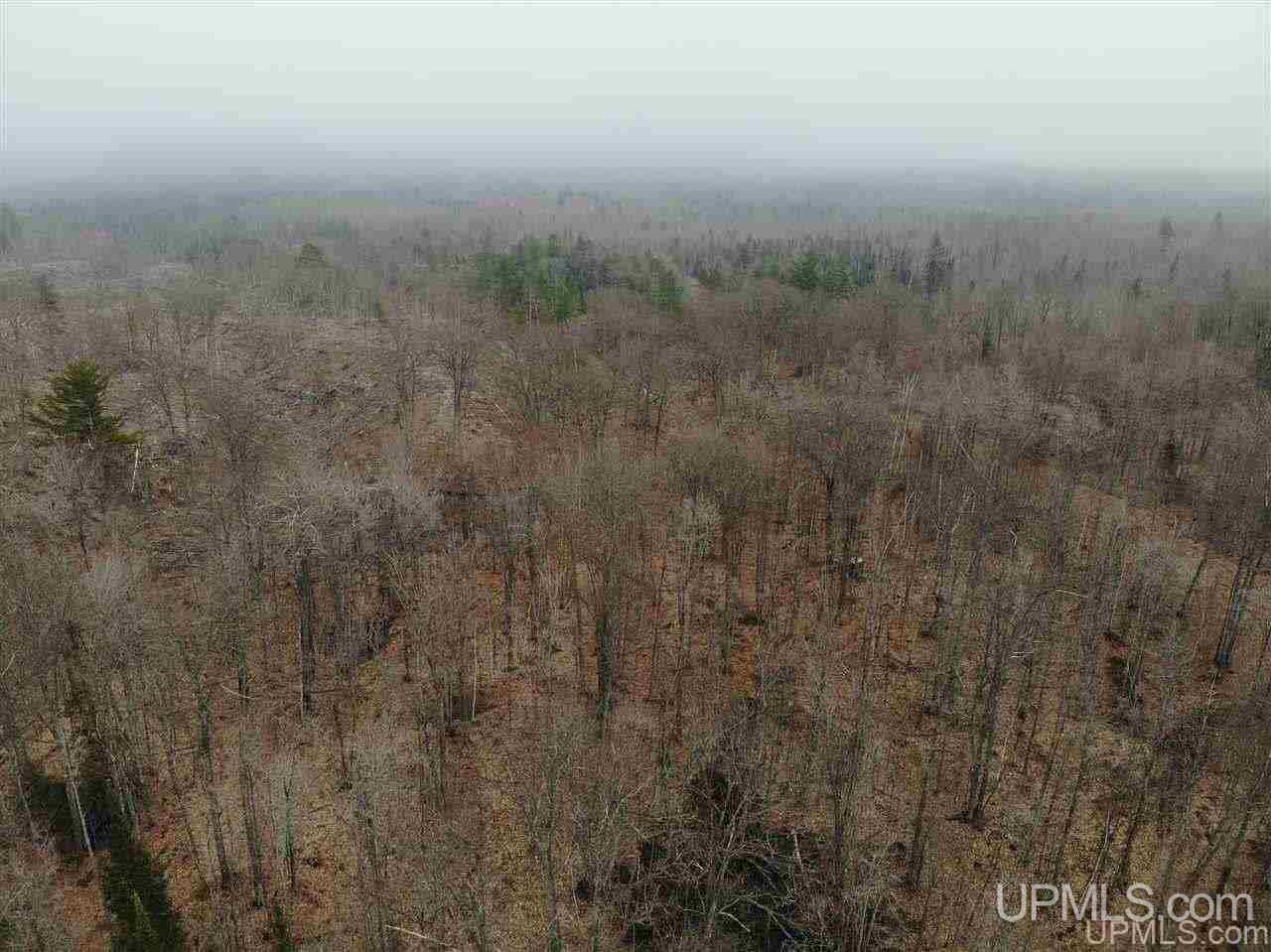 Tbd Plains Cutoff Road Baraga, MI 49908 - Photo 41 of 49
