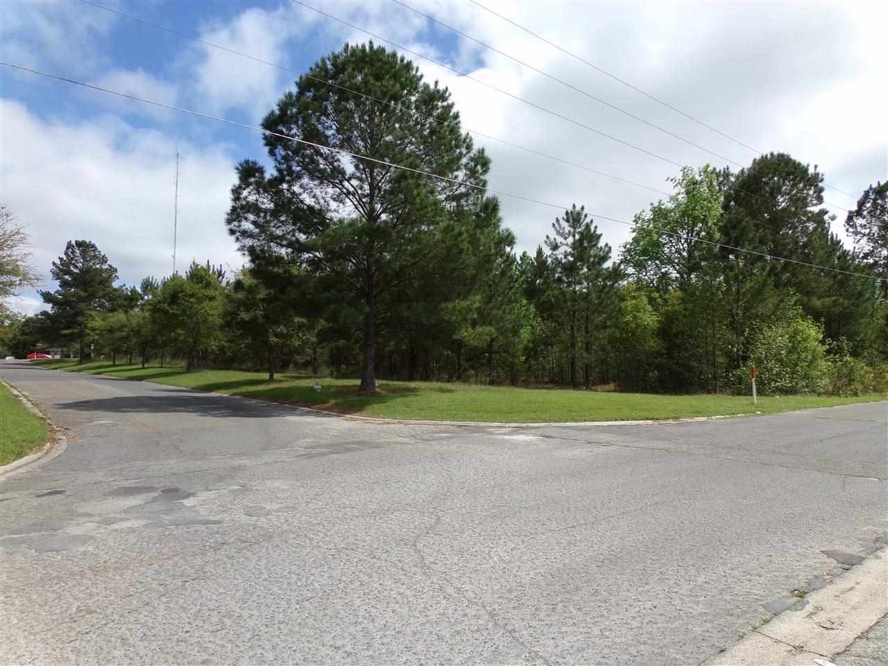 Vacant Southwest Pinckney Street Madison, FL 32340 - Photo 14 of 16 Gallery Image 14