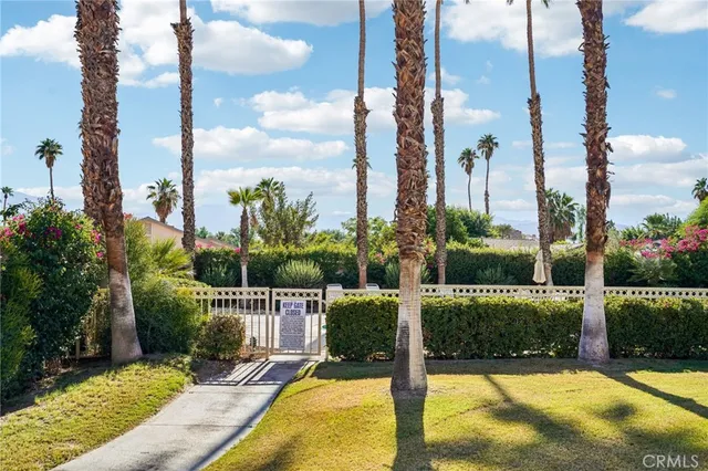 a view of a swimming pool with a garden and plants