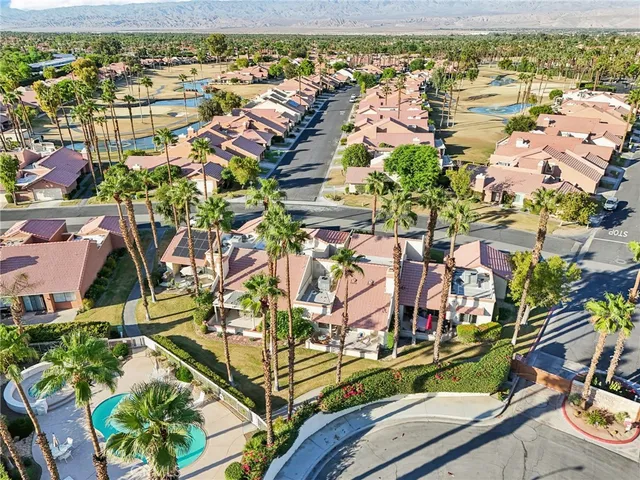 a view of a park with palm trees