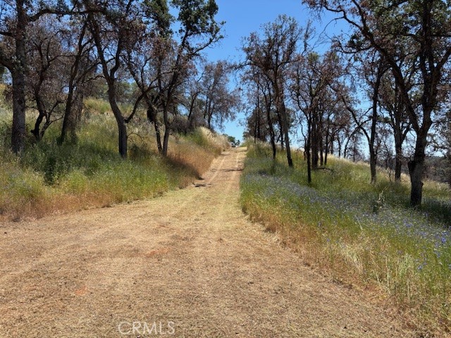 5358 Mariposa Heights Road Mariposa, CA 95338 - Photo 7 of 10