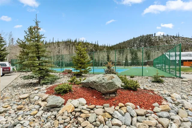 a view of a park that has a tree on the side of it