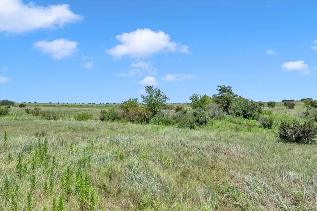 a view of a field of grass and trees