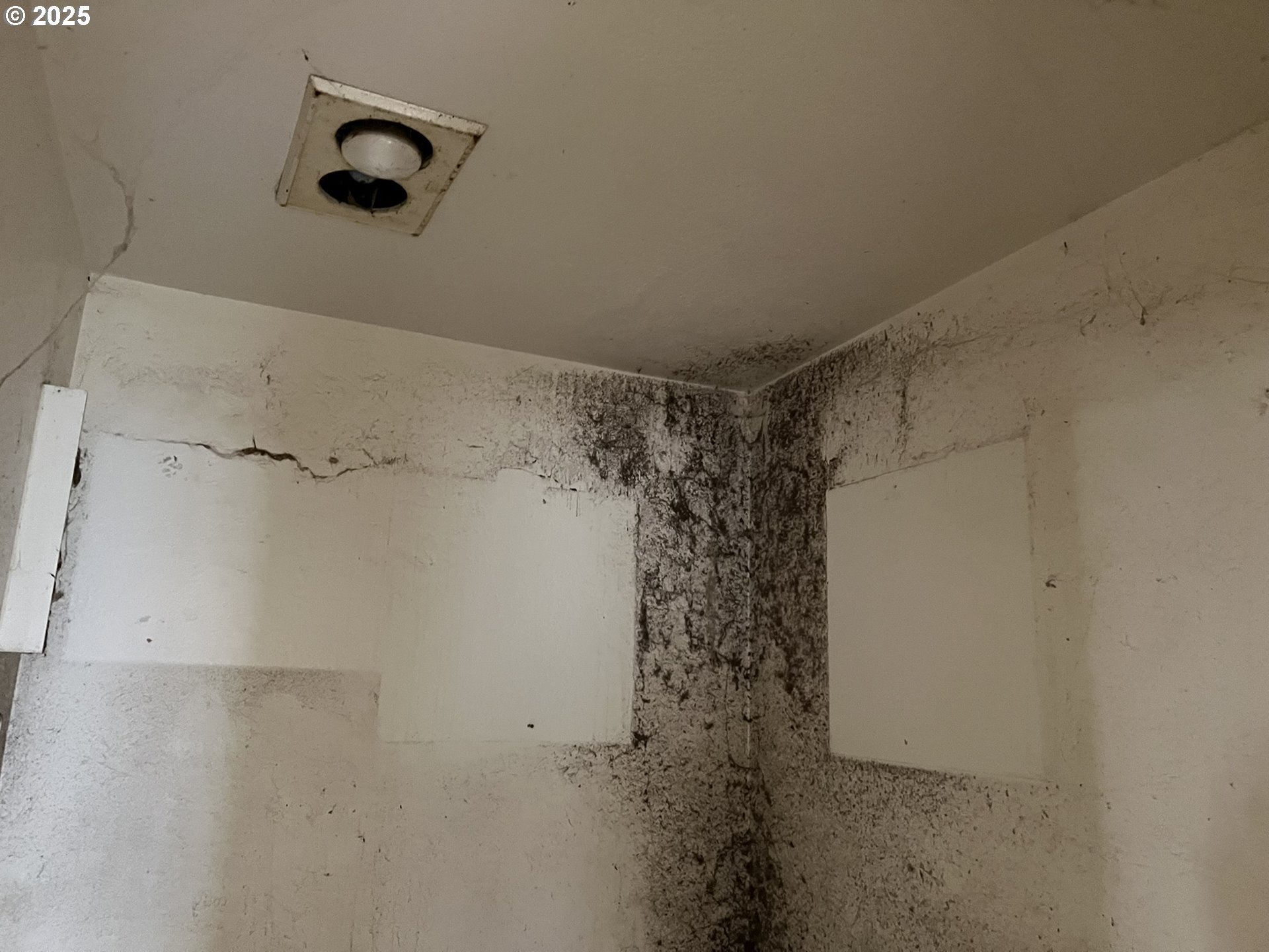 1032 Marina Heights Road Brookings, OR 97415 - Photo 33 of 43 a bathroom with a shower