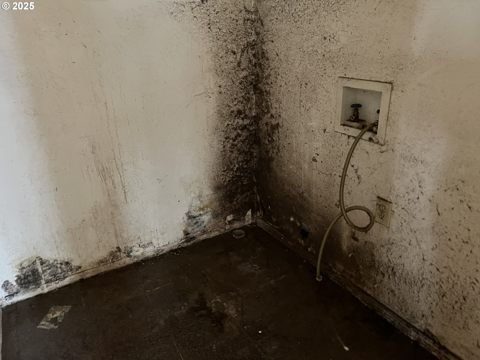 1032 Marina Heights Road Brookings, OR 97415 - Photo 34 of 43 a bathroom with a shower