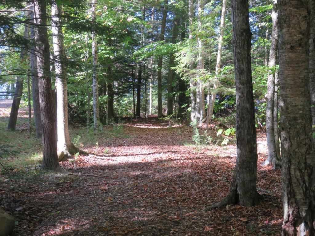 142 Corno Road Canaan, NH 03741 - Photo 31 of 39 Gallery Image 31