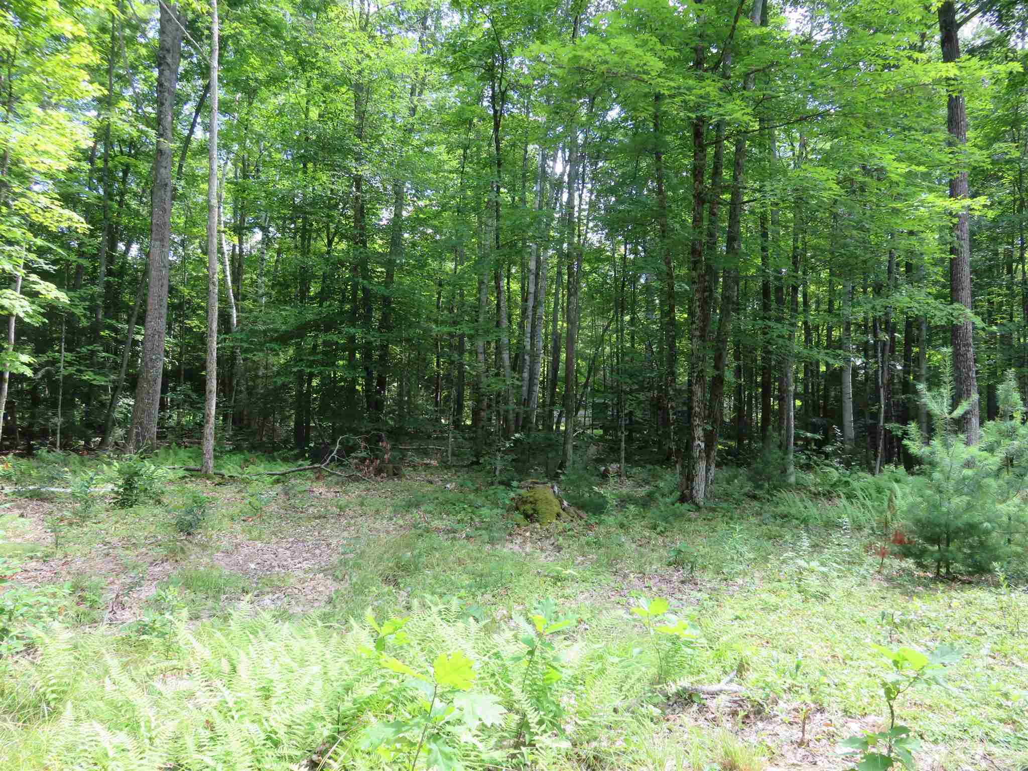 142 Corno Road Canaan, NH 03741 - Photo 9 of 39 Gallery Image 9
