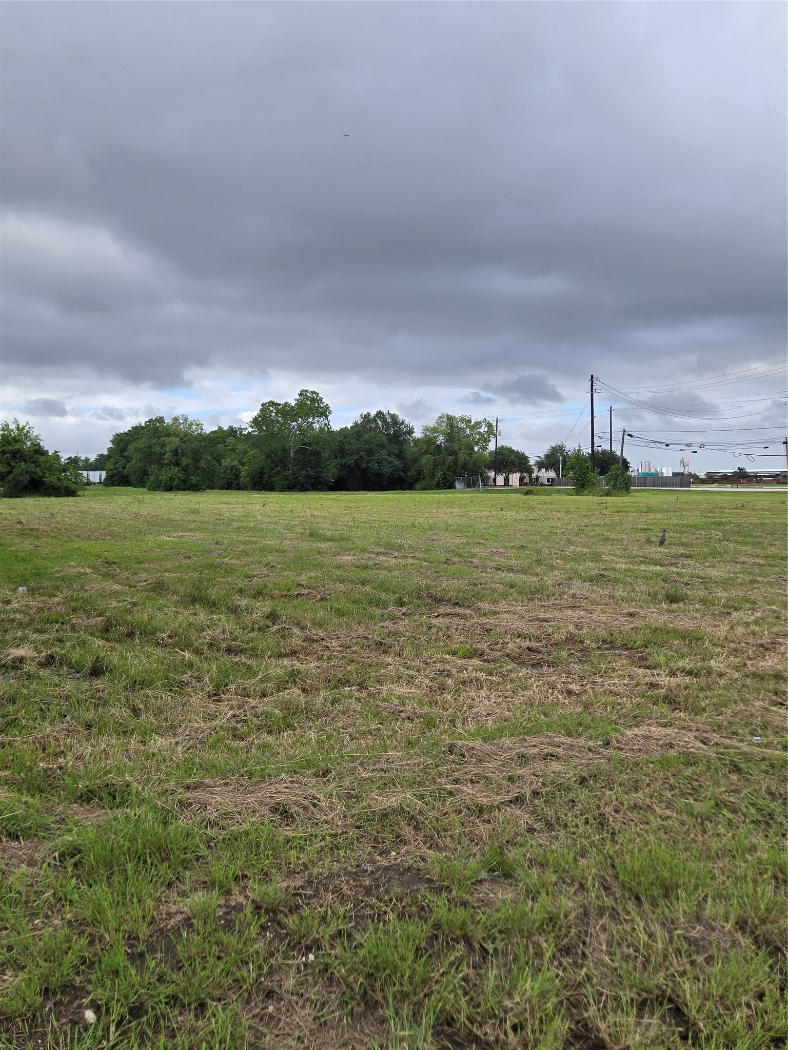 0 Mykawa Road Pearland, TX 77581 - Photo 5 of 6