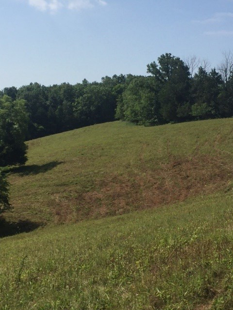 2150 Greenup Road Owenton, KY 40359 - Photo 19 of 29 Gallery Image 19