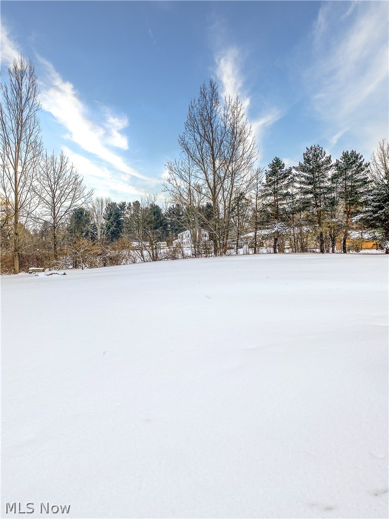 11031 Mayfield Road Chardon, OH 44024 - Photo 22 of 26