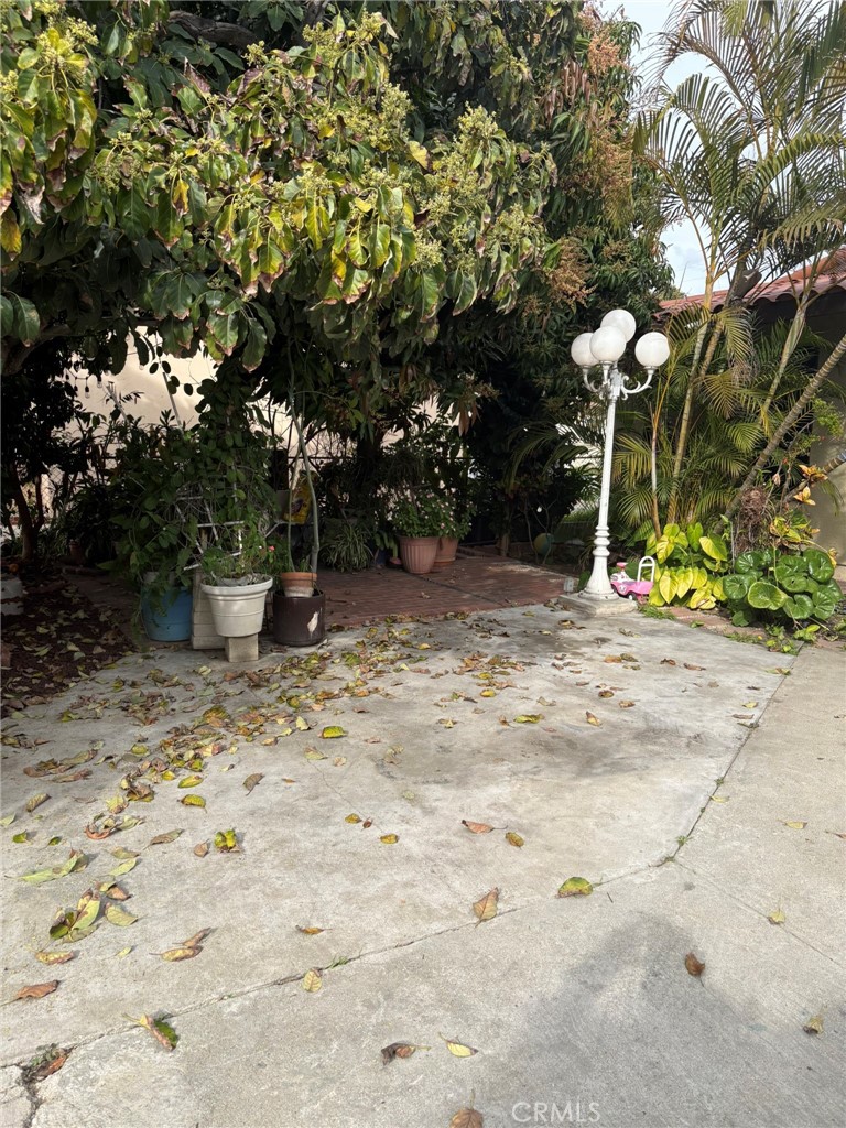 1362 South Downey Road Los Angeles, CA 90023 - Photo 3 of 30 a backyard of a house with lots of green space