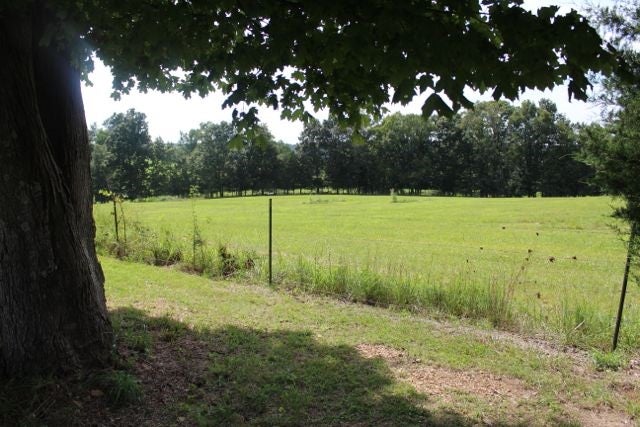 2501 Pleasant Ridge Church Road Adolphus, KY 42120 - Photo 29 of 32 Gallery Image 29