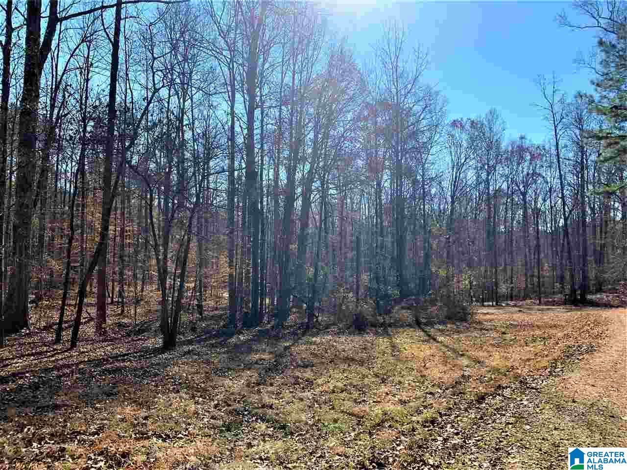 336 County Road 910 Delta, AL 36258 - Photo 7 of 29