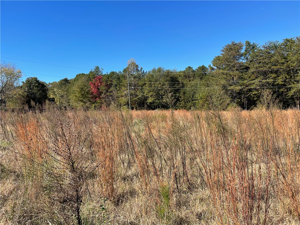 0 Davis Bridge Road Westminster, SC 29693 - Photo 8 of 15 Gallery Image 8