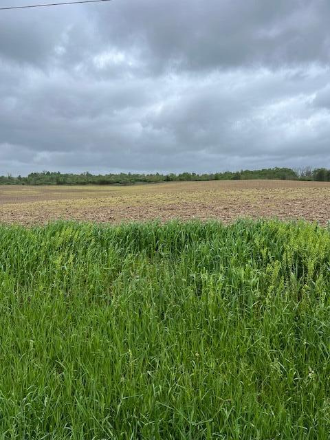 0 Stewart Road Northeast Newark, OH 43055 - Photo 2 of 3 IMG_6660