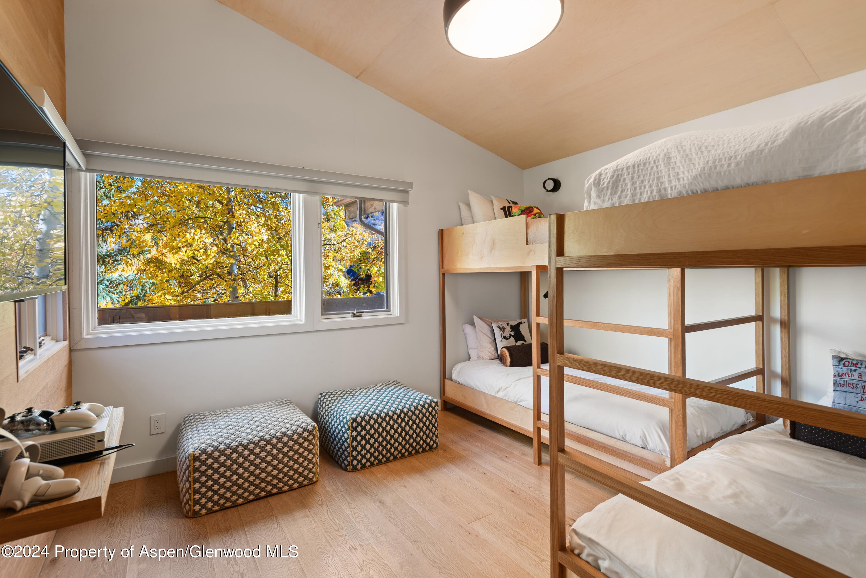 800 South Monarch Street, Unit 9 Aspen, CO 81611 - Photo 20 of 25 a bedroom with furniture and a window