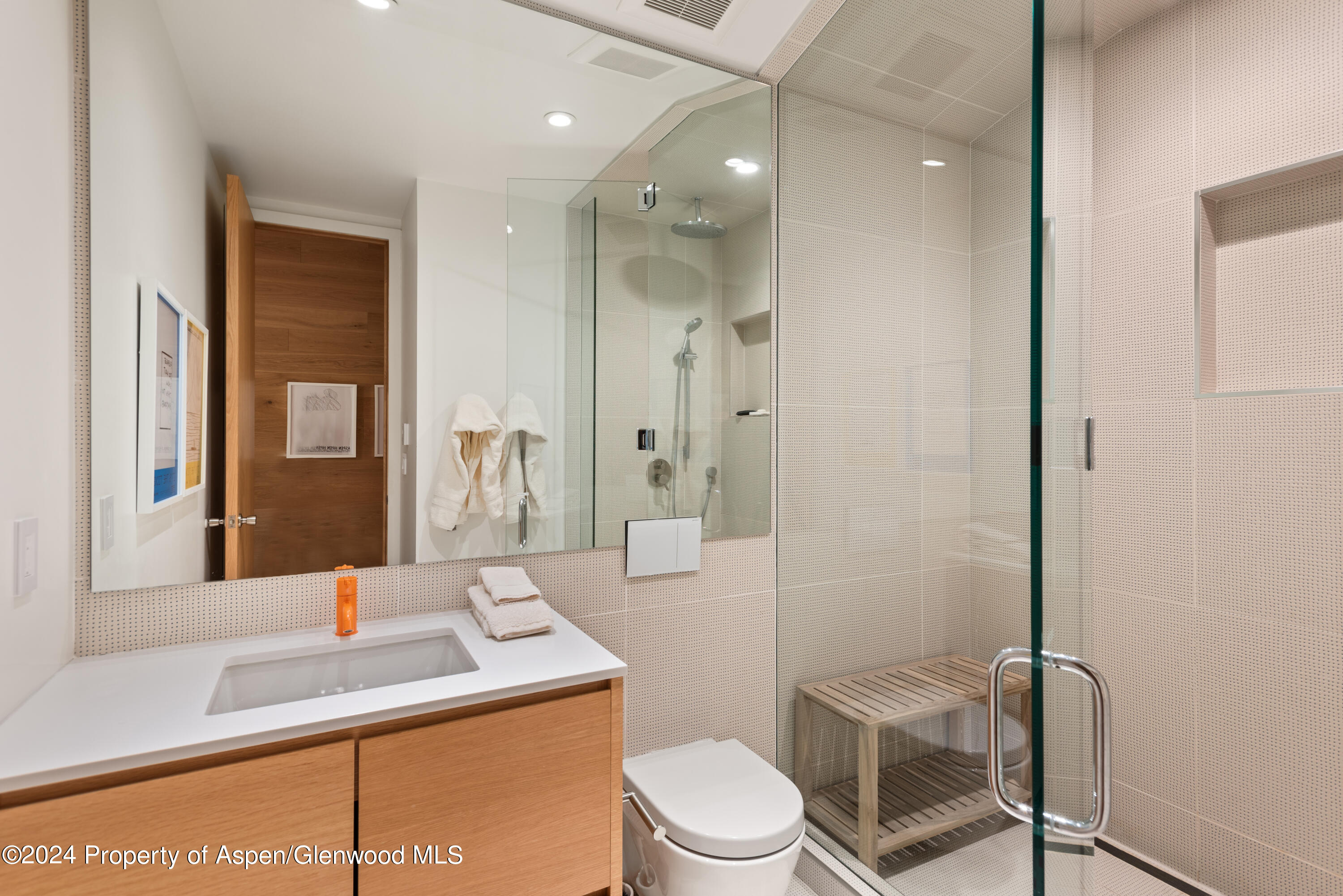 800 South Monarch Street, Unit 9 Aspen, CO 81611 - Photo 21 of 25 a bathroom with a sink toilet and shower