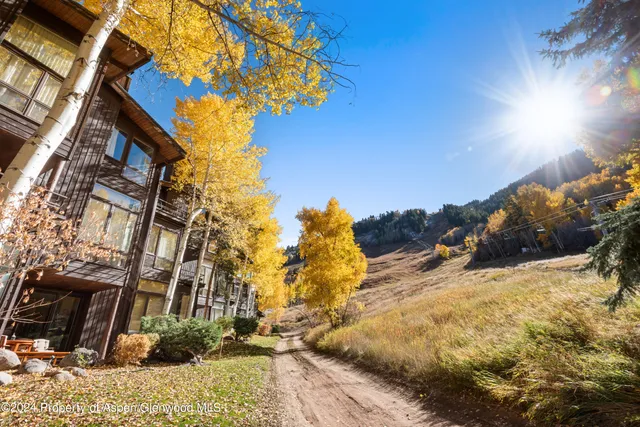 $45,000 | 800 South Monarch Street, Unit 9, Aspen, CO 81611