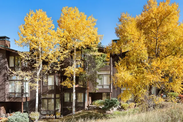 $45,000 | 800 South Monarch Street, Unit 9, Aspen, CO 81611
