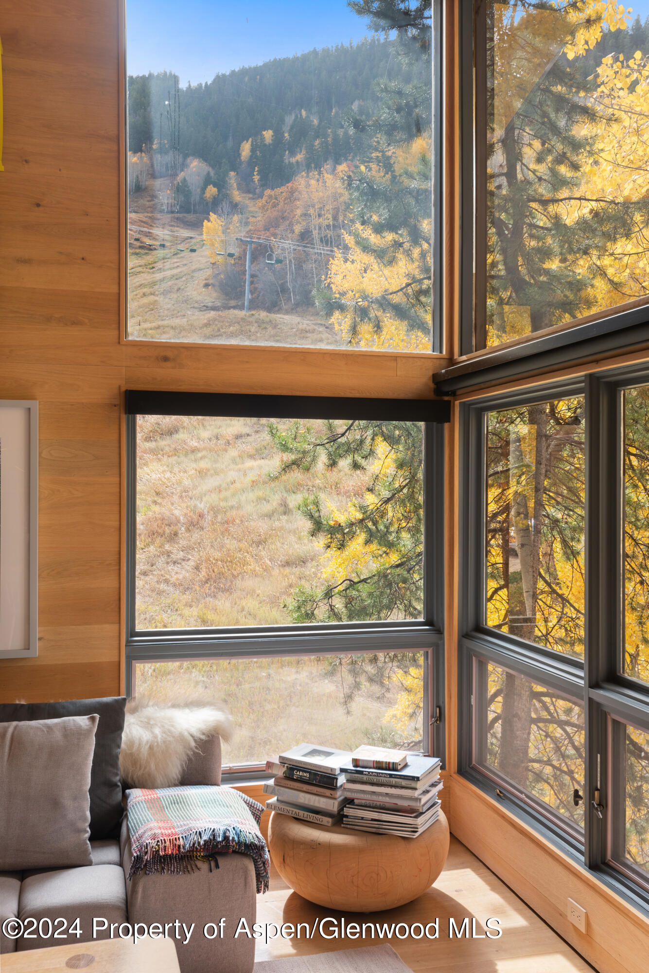 800 South Monarch Street, Unit 9 Aspen, CO 81611 - Photo 3 of 25 a room with furniture and window