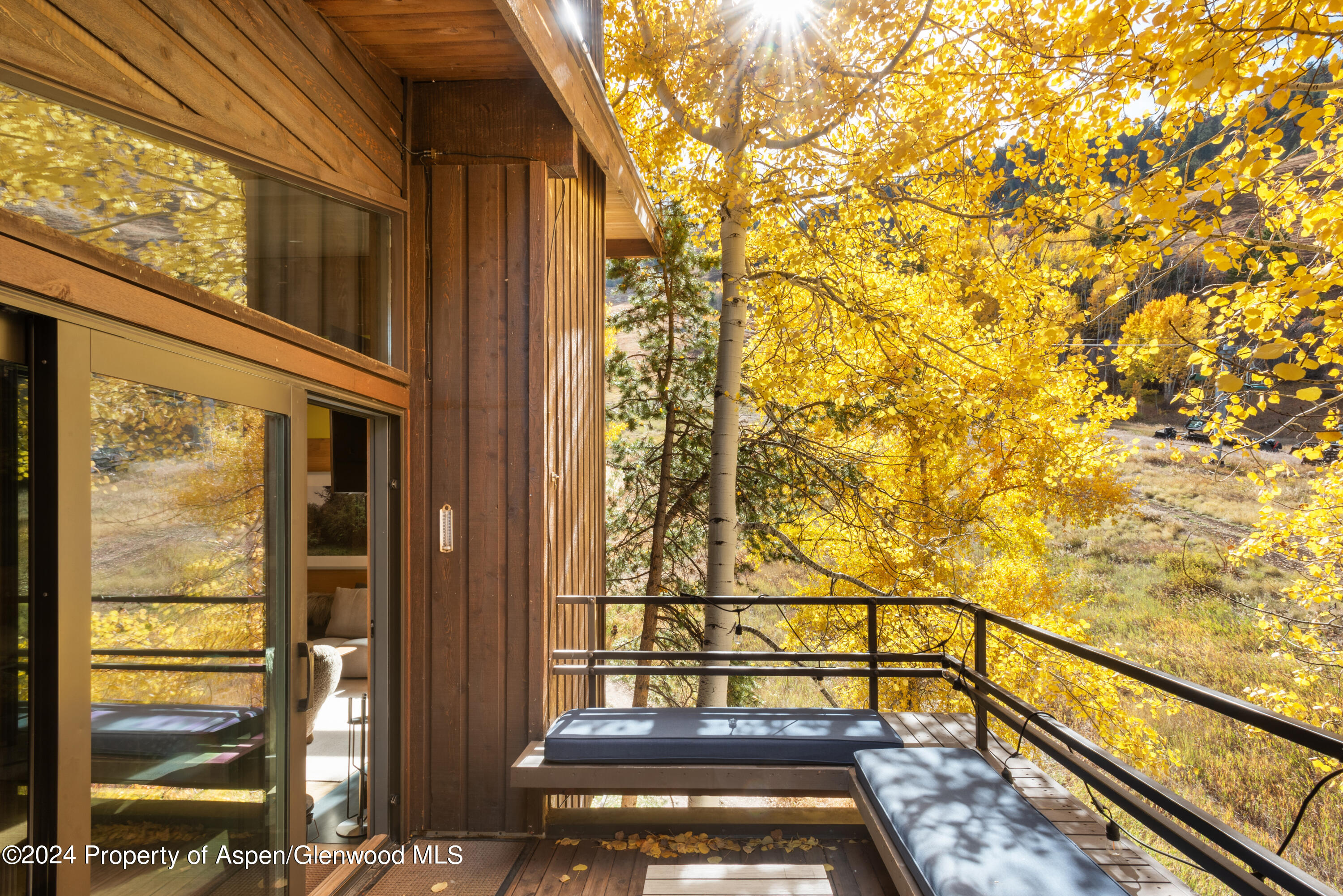 800 South Monarch Street, Unit 9 Aspen, CO 81611 - Photo 8 of 25