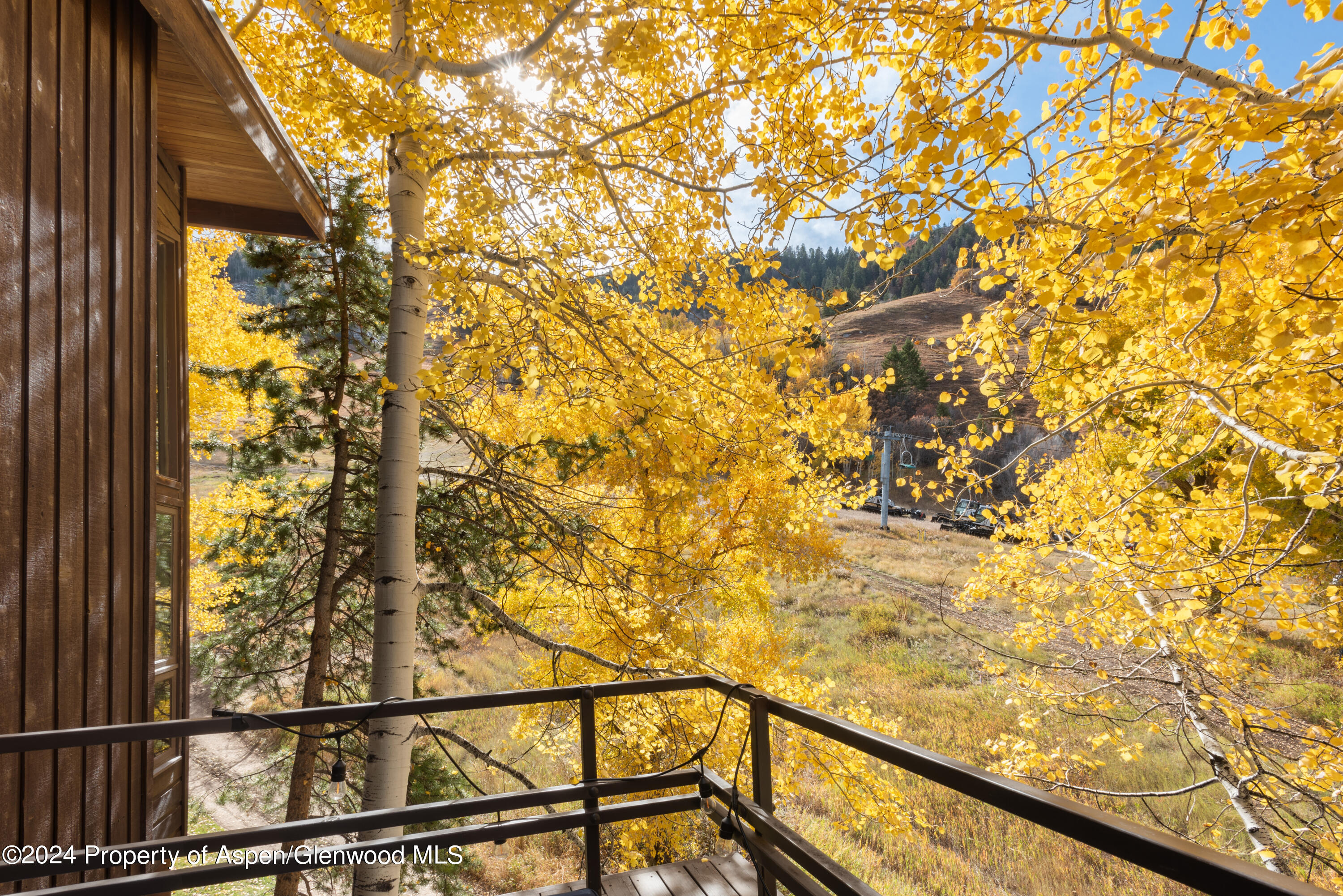 800 South Monarch Street, Unit 9 Aspen, CO 81611 - Photo 9 of 25