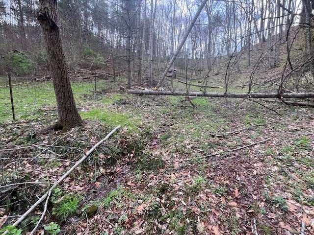 15.01-ac Pine Run Road, Unit 115110A Draper, VA 24324 - Photo 26 of 57 Gallery Image 26