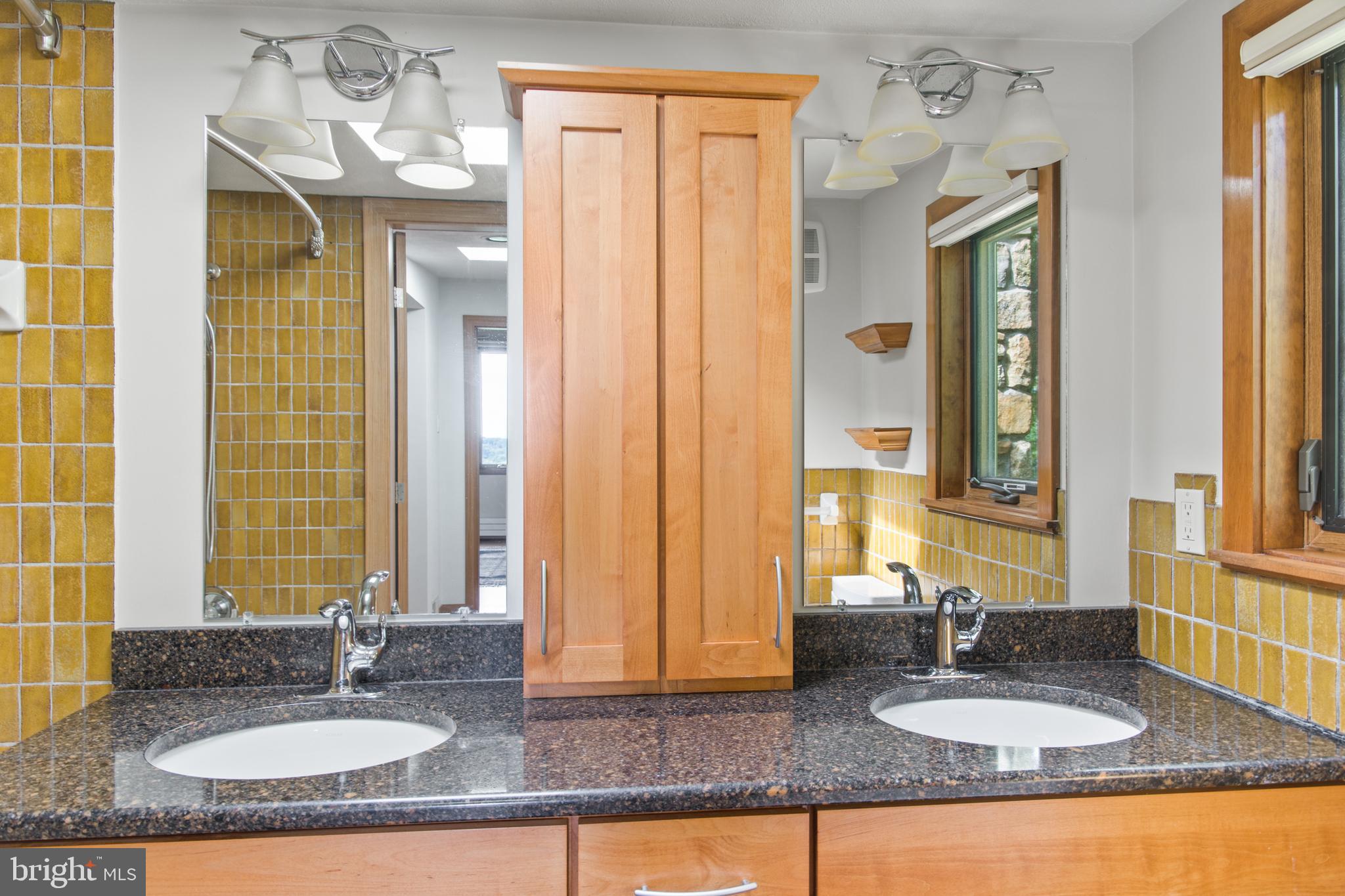 1646 Hilltop Road Spring City, PA 19475 - Photo 31 of 48 Primary bath with skylight, granite counter