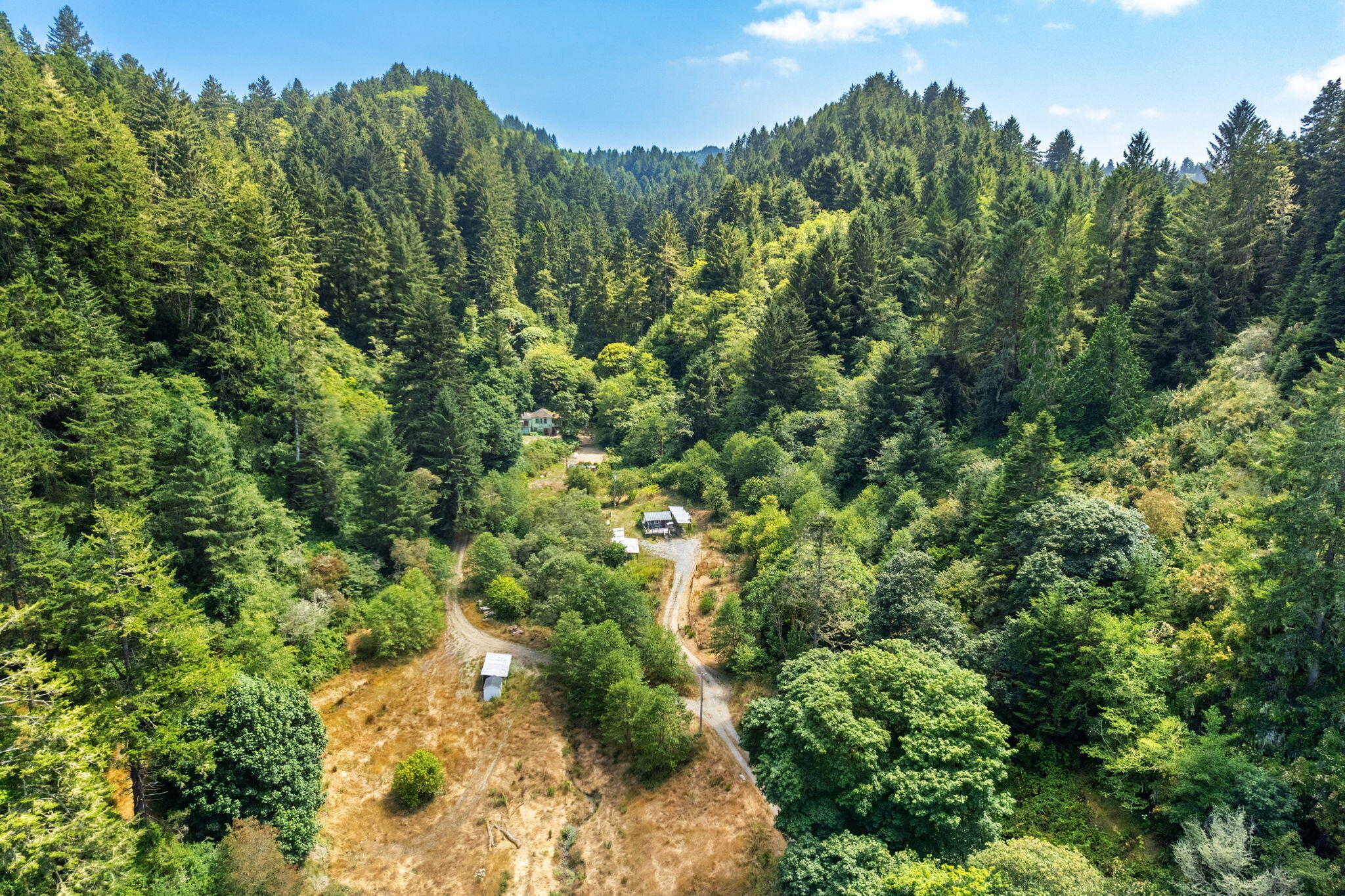 755-763 Oeschger Road Ferndale, CA 95536 - Photo 23 of 36 a view of a forest with a tree