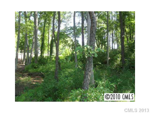 805 Cooks Cove Ridge Clover, SC 29710 - Photo 3 of 4