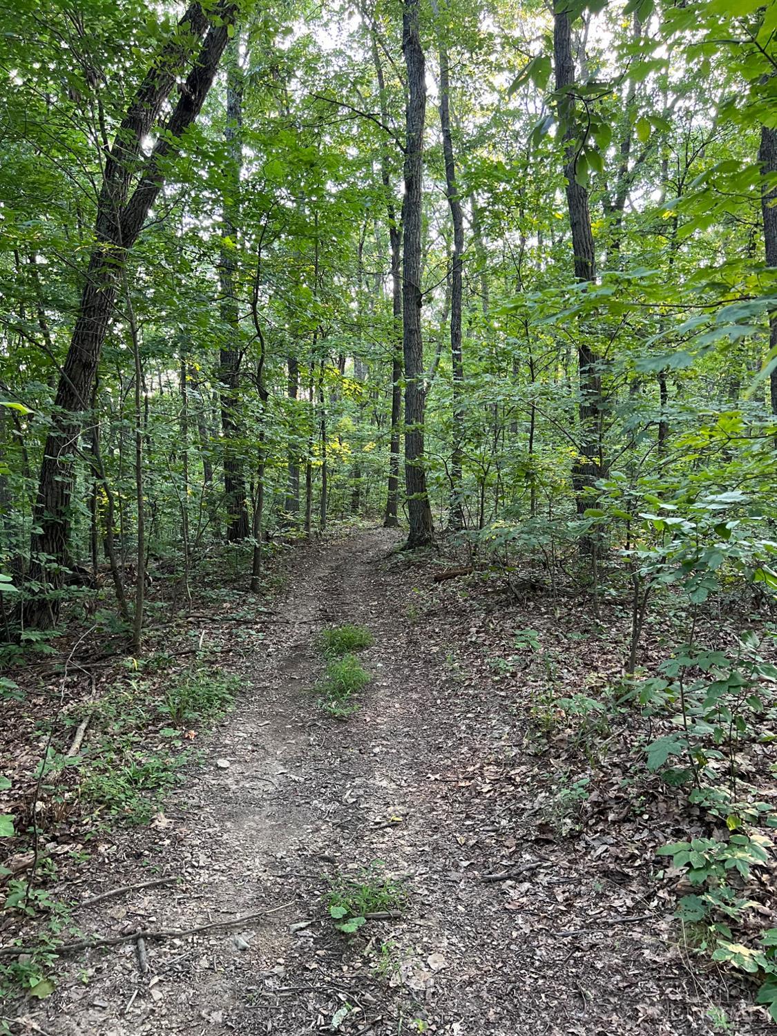 0 Tabernacle Road Chillicothe, OH 45601 - Photo 60 of 64