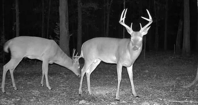 $599,000 | 828 Southeast 601st Road, Leeton, MO 64761