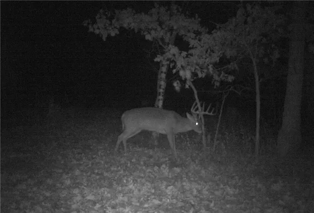 $599,000 | 828 Southeast 601st Road, Leeton, MO 64761