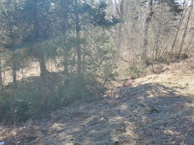 $39,900 | Lot#47 Indian Hill Lane, Frankfort, ME 04438