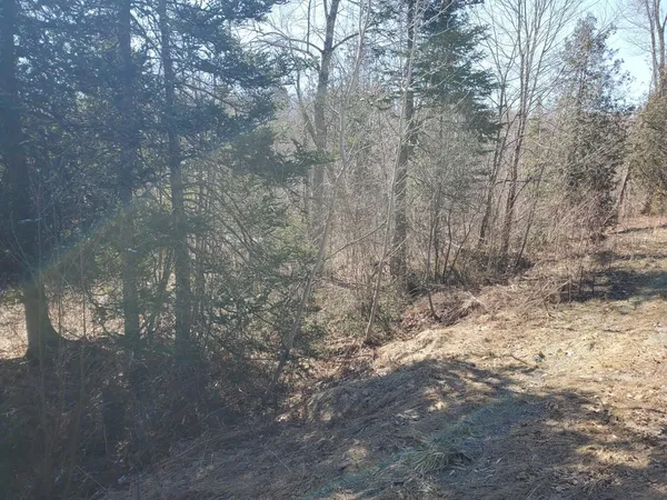 $39,900 | Lot#47 Indian Hill Lane, Frankfort, ME 04438