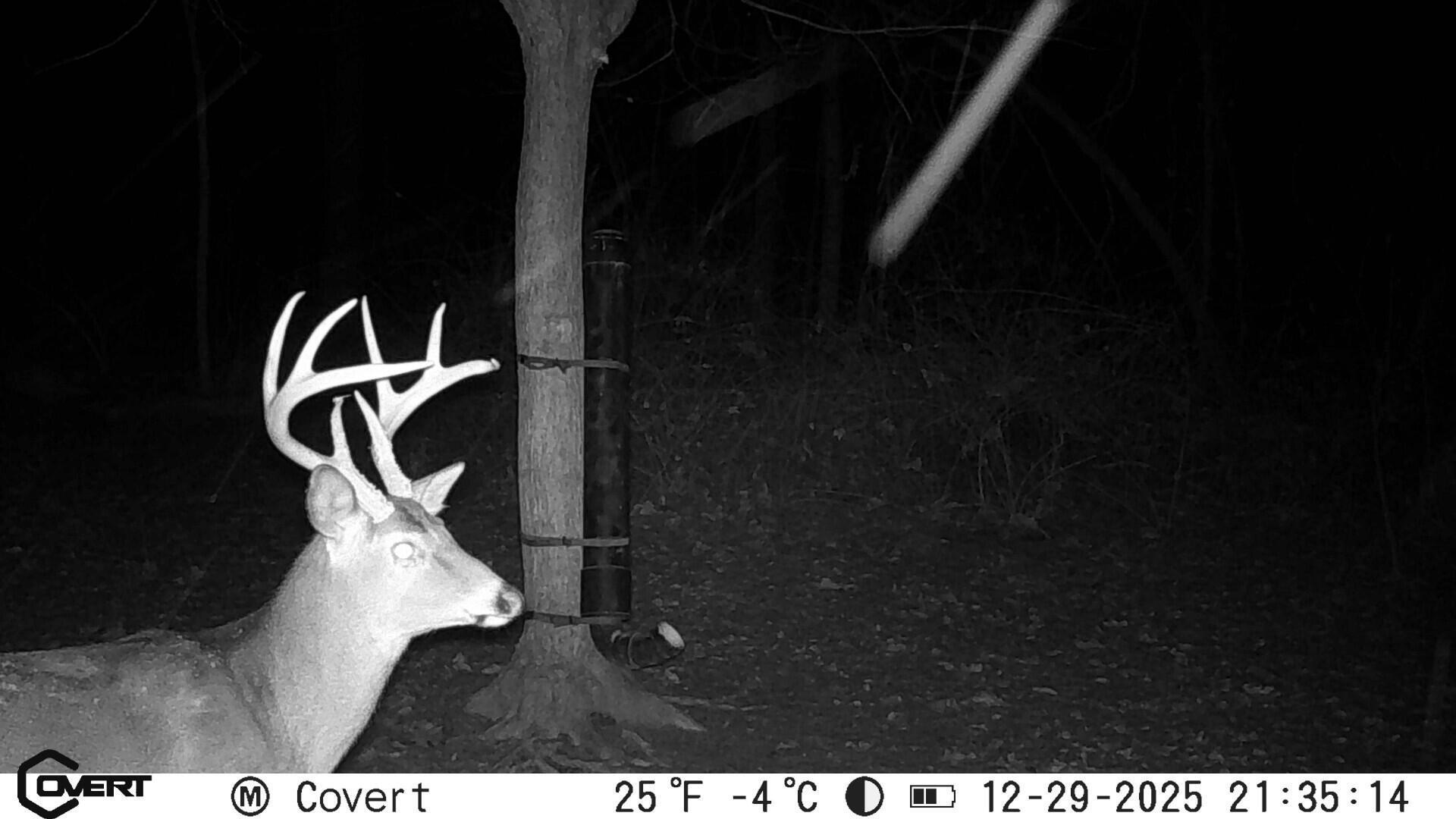 10050 Perryton Road Frazeysburg, OH 43822 - Photo 44 of 47 Deer Cam 1 Perryton Rd