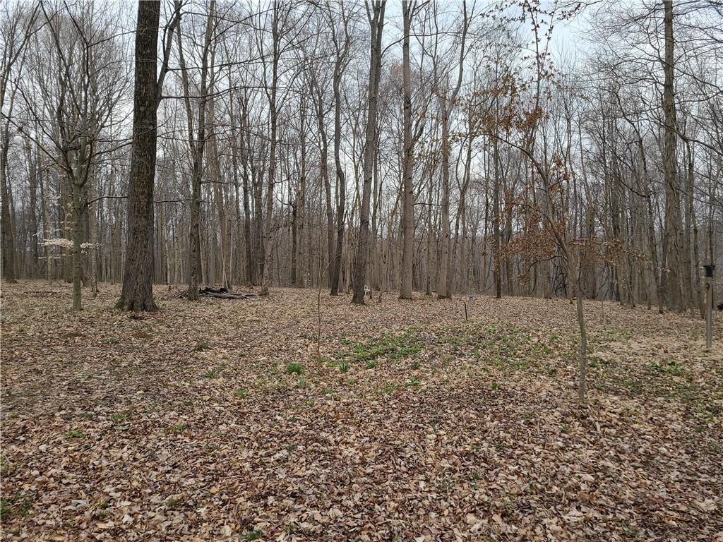 2420 South Silcox Road Paragon, IN 46166 - Photo 41 of 45