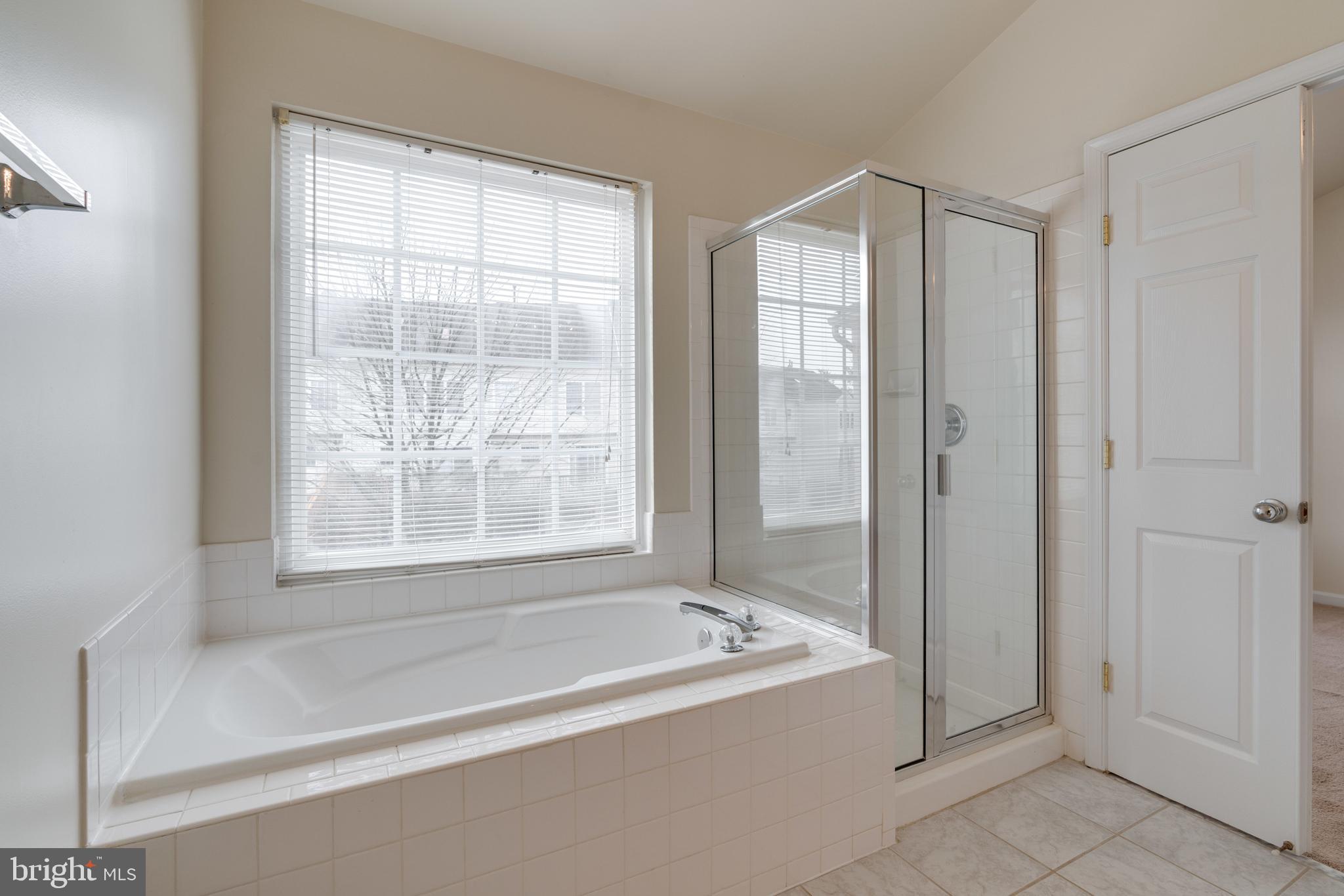 9058 Two Bays Road Lorton, VA 22079 - Photo 35 of 42 Master Bath with soaking tub & separate shower