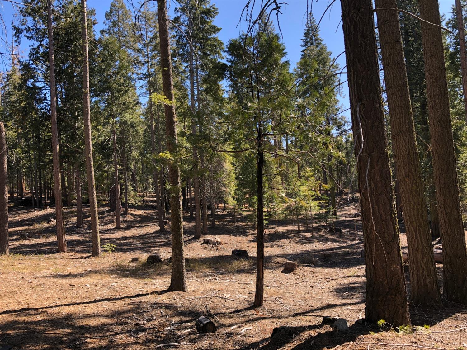 38756 Ridge Road Shaver Lake, CA 93664 - Photo 1 of 5