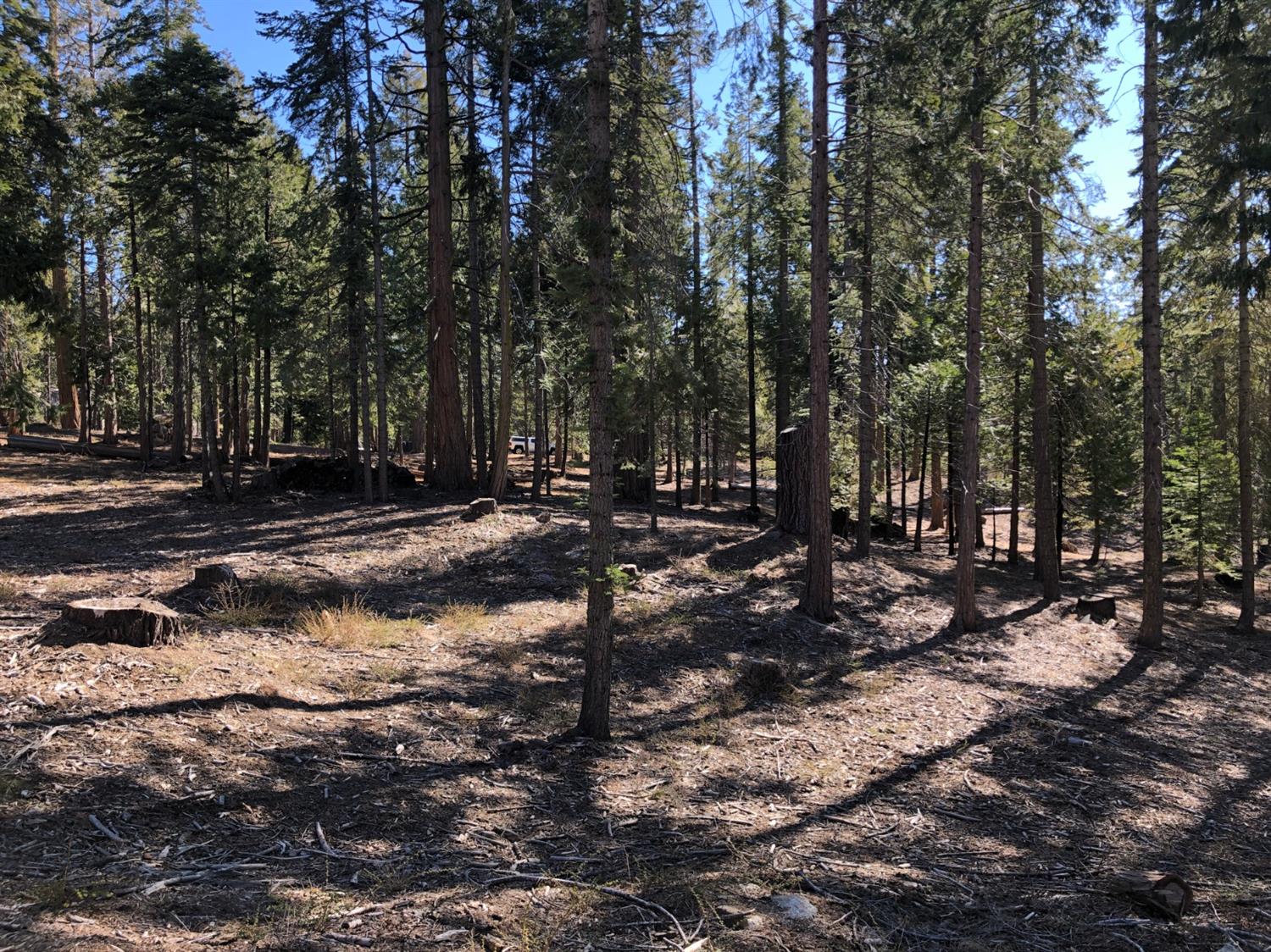 38756 Ridge Road Shaver Lake, CA 93664 - Photo 3 of 5