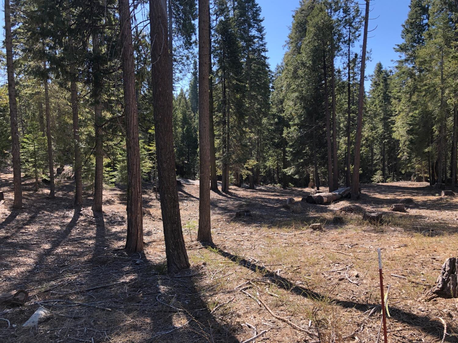 38756 Ridge Road Shaver Lake, CA 93664 - Photo 4 of 5