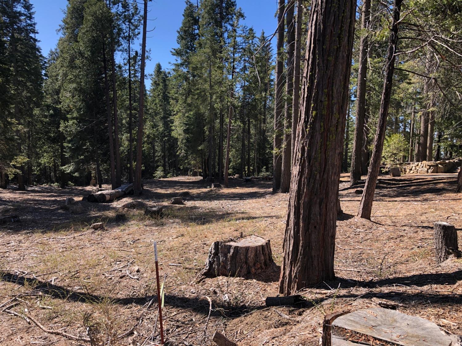 38756 Ridge Road Shaver Lake, CA 93664 - Photo 5 of 5