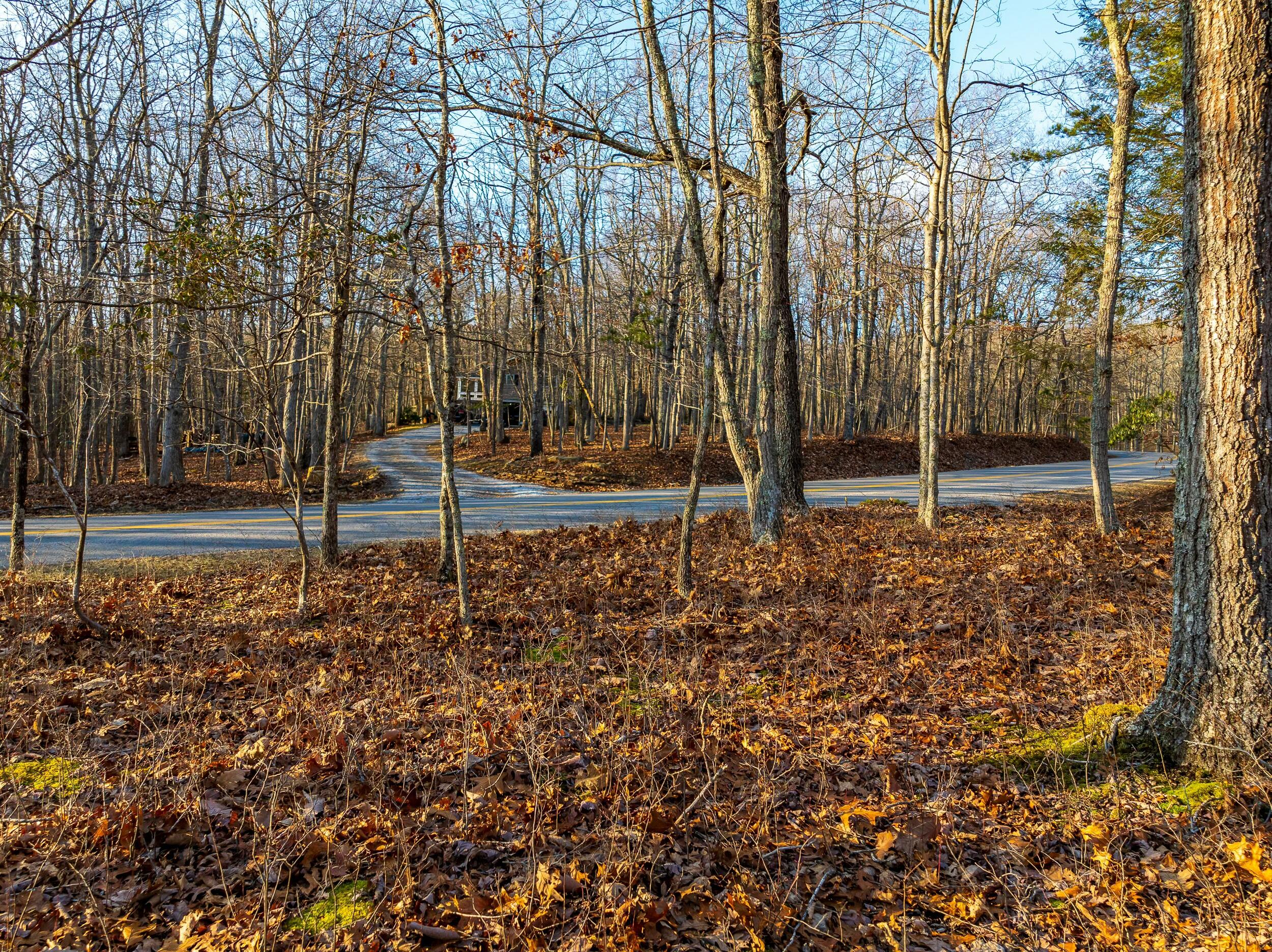 4510 Pearman Road Blacksburg, VA 24060 - Photo 19 of 37 tempImageBosiny