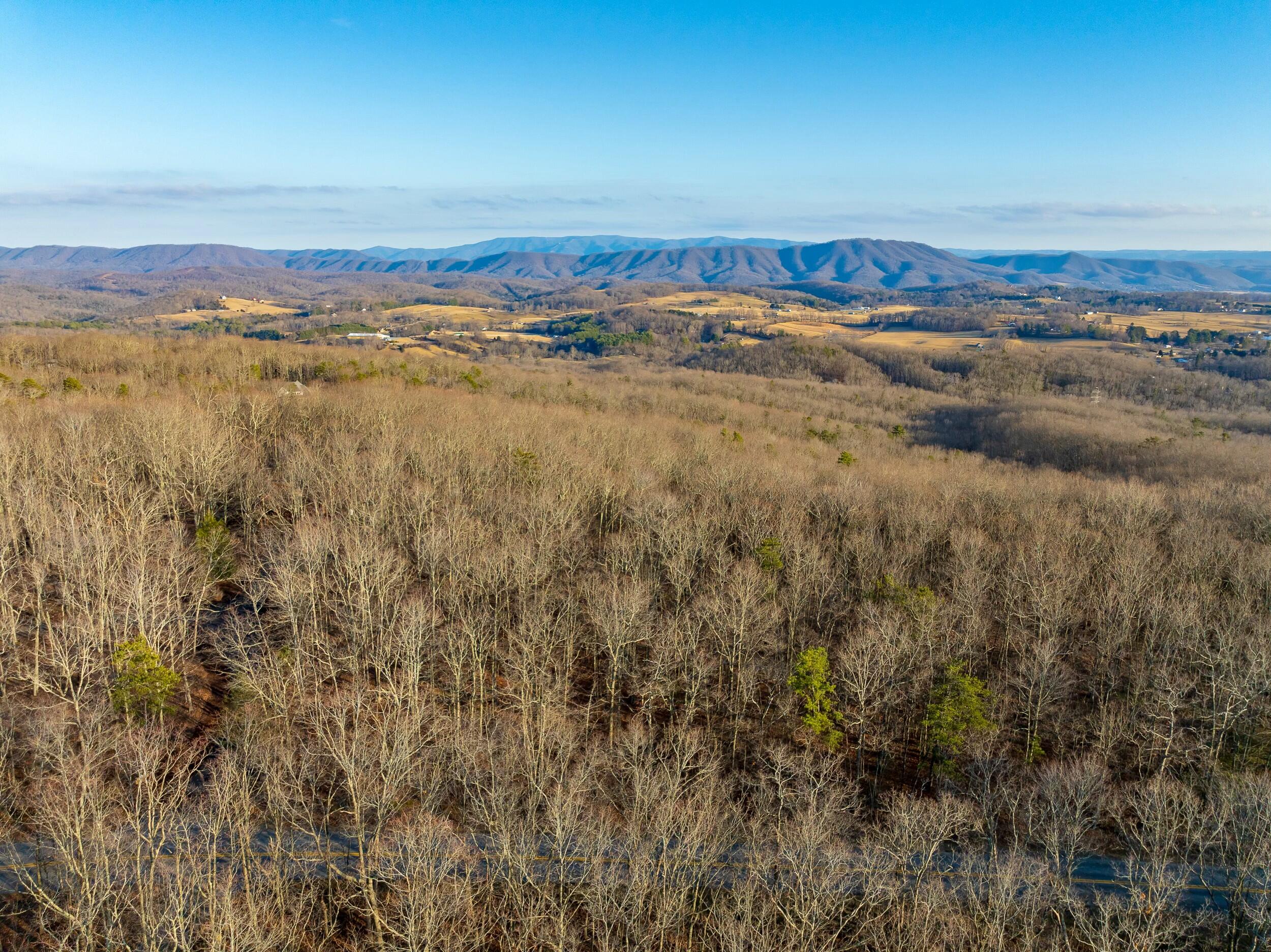 4510 Pearman Road Blacksburg, VA 24060 - Photo 2 of 37 tempImagel9gM7s