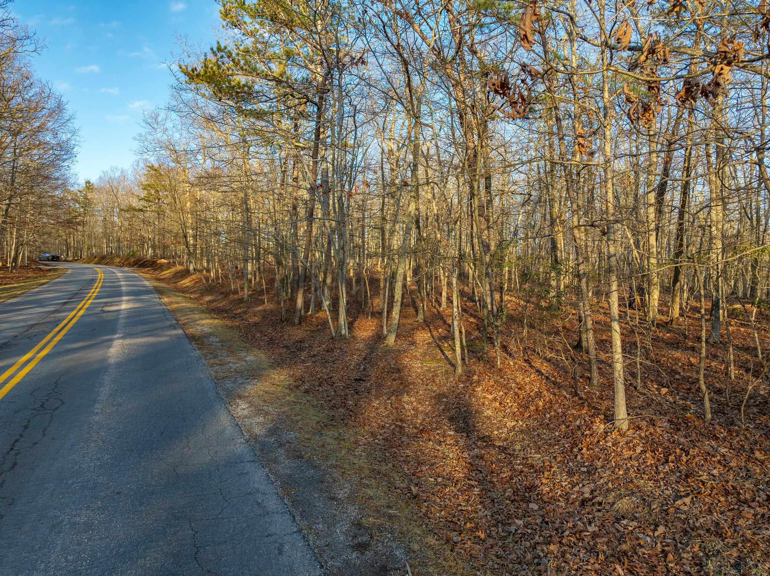 4510 Pearman Road Blacksburg, VA 24060 - Photo 21 of 37 tempImage3ewrdQ