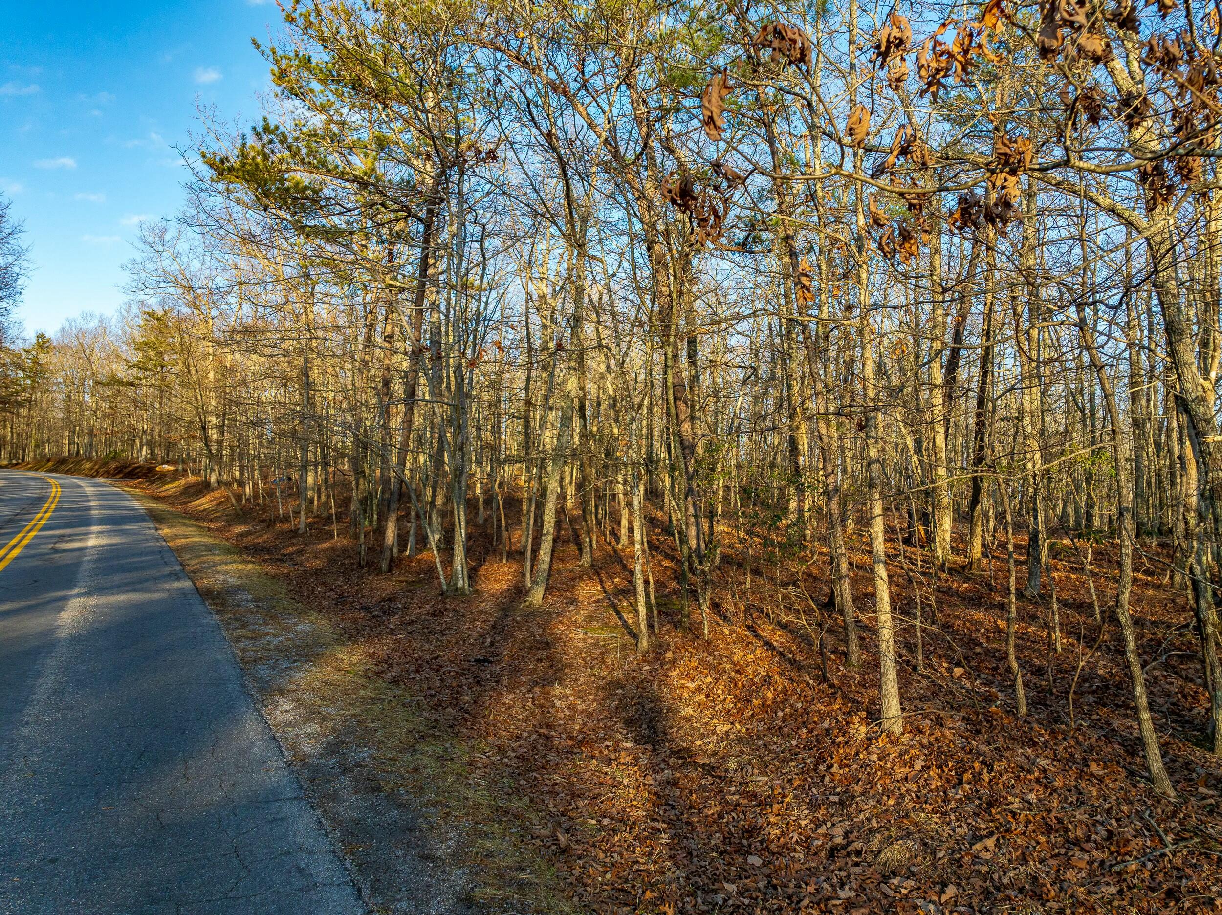 4510 Pearman Road Blacksburg, VA 24060 - Photo 22 of 37 tempImageTAtMoe