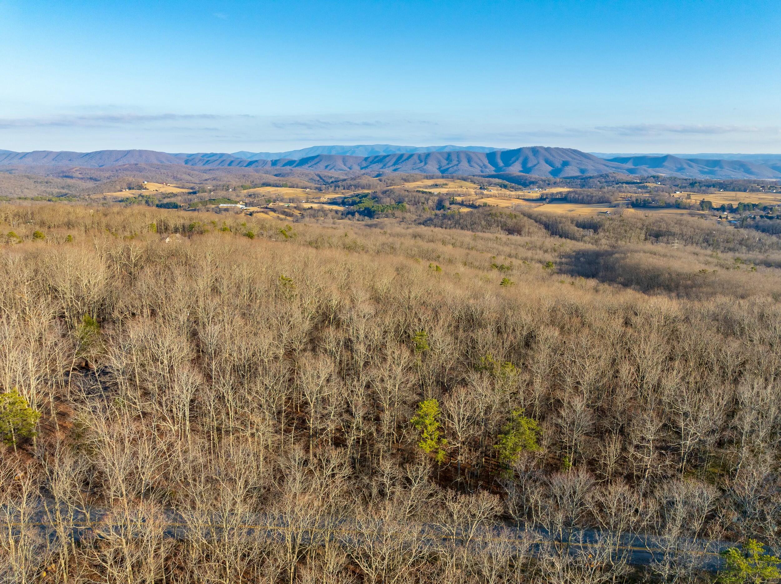 4510 Pearman Road Blacksburg, VA 24060 - Photo 23 of 37 tempImageF6d0Z5