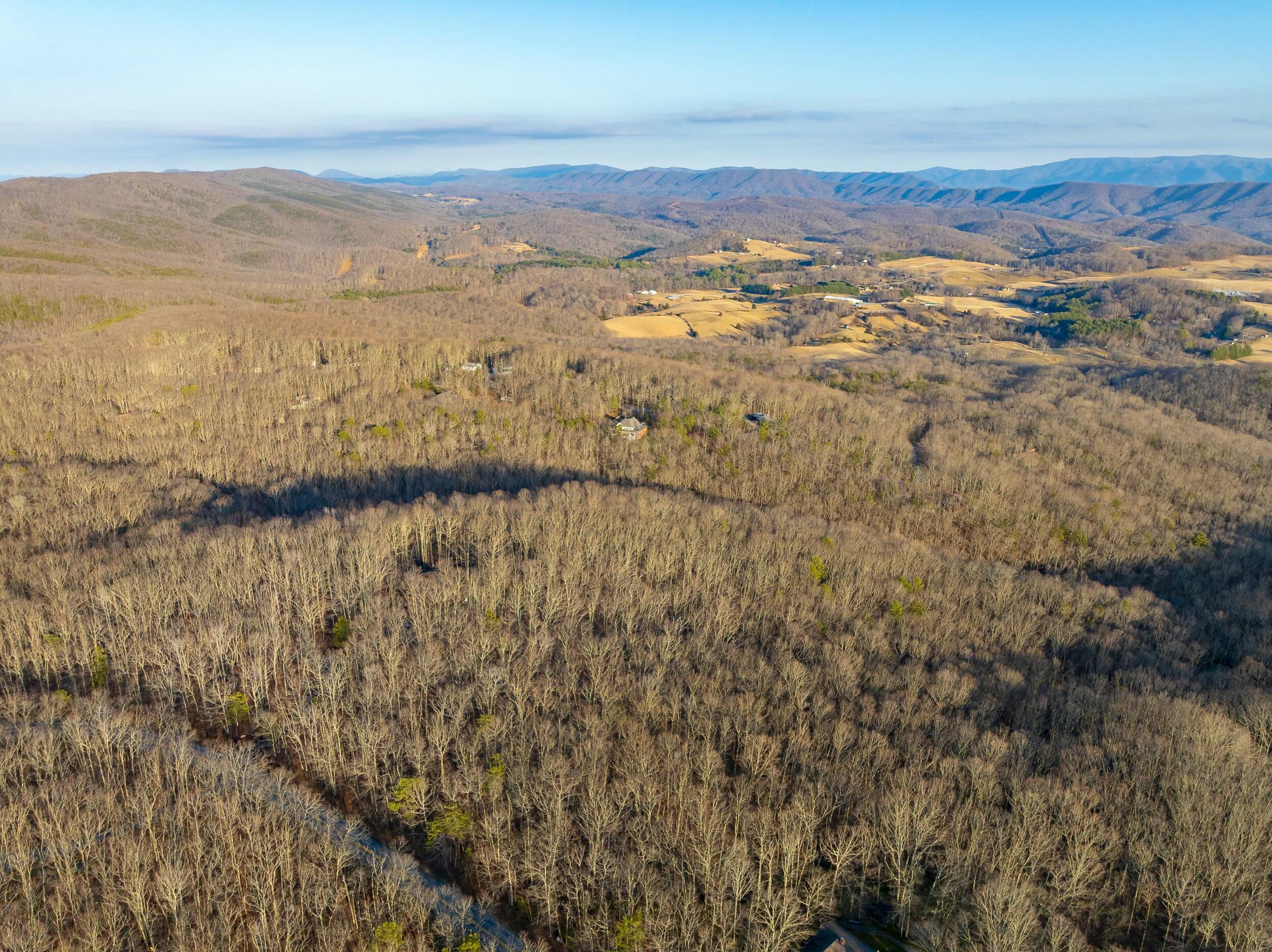 4510 Pearman Road Blacksburg, VA 24060 - Photo 32 of 37 tempImageUtmVuH
