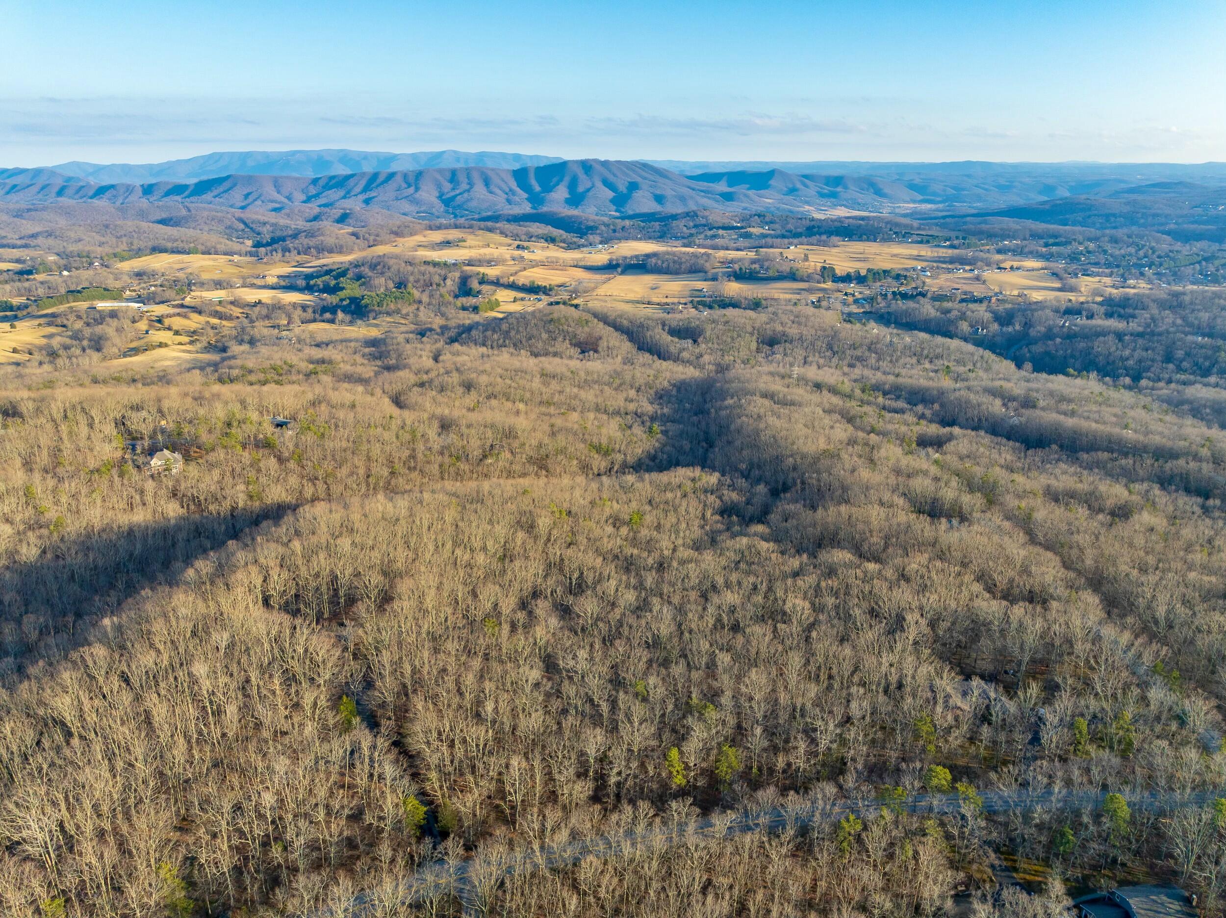 4510 Pearman Road Blacksburg, VA 24060 - Photo 6 of 37 tempImageqFtCSt